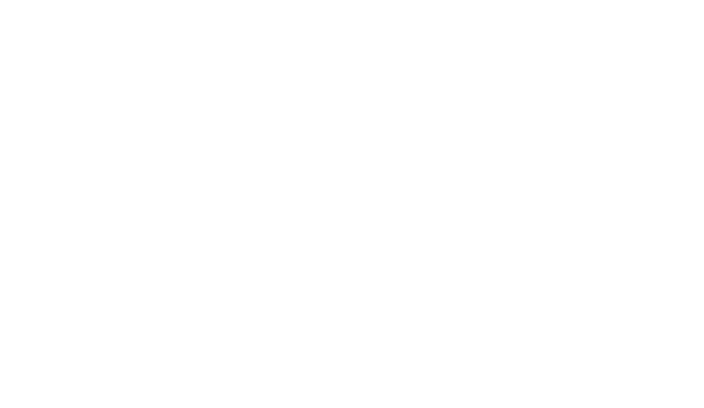 A1 Auto Detailing and Car Storage logo — line-art sports car with A1 door badge, white